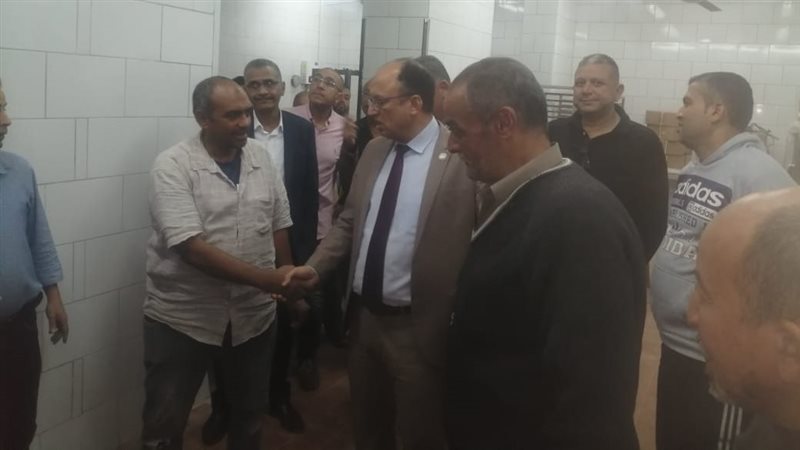 الدكتور السيد قنديل