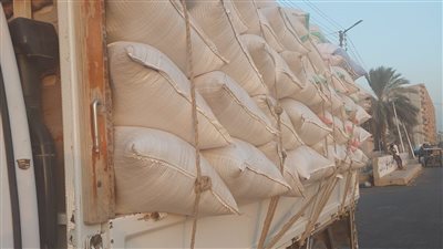 وكيل تموين كفر الشيخ: نعاني عجزا كبيرا في توريد الأرز.. وهناك مافيا تحاول تعطيش السوق | فيديو