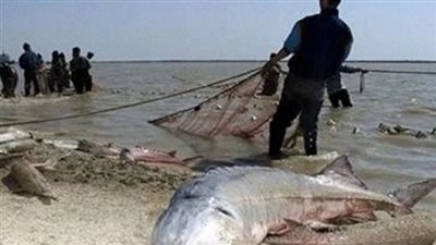 بتوقيع 100 دولة.. أول اتفاقية دولية لمكافحة الصيد غير القانوني | إنفوجراف 