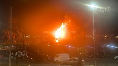 السيطرة على حريق في بعض نخيل كورنيش شارع البحر الأعظم بالجيزة lفيديو