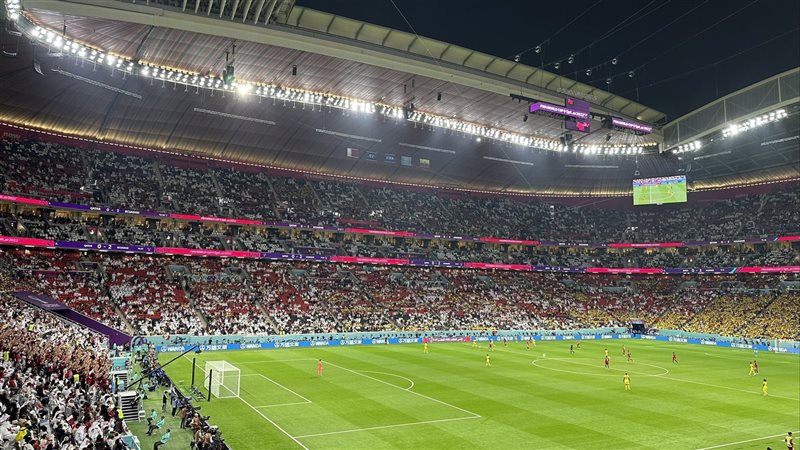 جماهير كأس العالم