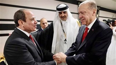 دبلوماسيون يجيبون عن السؤال.. هل تذيب مصافحة السيسي وأردوغان الجليد بين البلدين