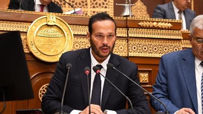 محمد حلاوة: التعديلات المقترحة بقانون الاستثمار تحفز الاستثمارات الخارجية وتحقق توجيهات الرئيس السيسي بضرورة جذب استثمارات جديدة وإصلاح القوانين الاقتصادية وبناء الشراكات