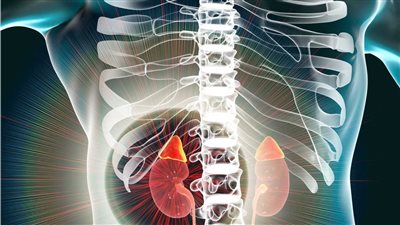 اكتشاف الجينات المرتبطة بأشرس أنواع سرطان الكلى