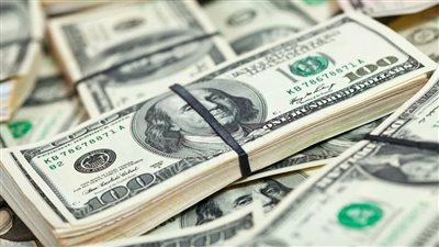 سعر الدولار اليوم الثلاثاء 22-11-2022 في البنك المركزي المصري ببداية التعاملات