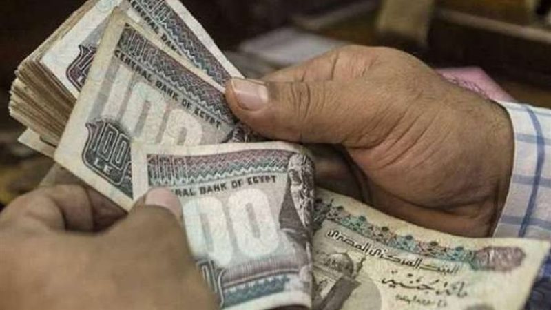 المرتبات 