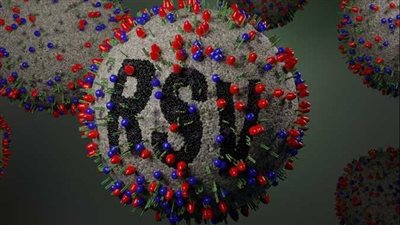 الصحة تكشف أسباب تزايد الإصابات بالفيروس المخلوي 