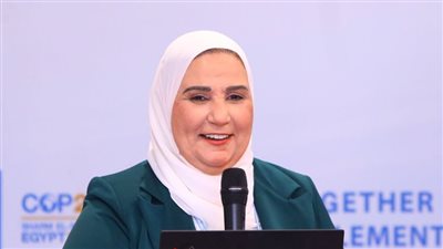 التضامن تعلن توقف المنظومة الإلكترونية لتنظيم العمل الأهلي لمدة 6 أيام 