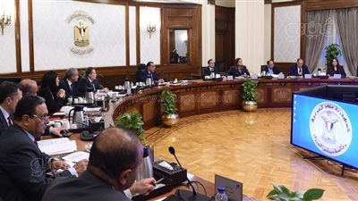 تفاصيل اجتماع المجموعة الاقتصادية.. مدبولي يناقش مستجدات برنامج التعاون مع صندوق النقد الدولي.. وزيادة الاحتياطيات من الدولار 