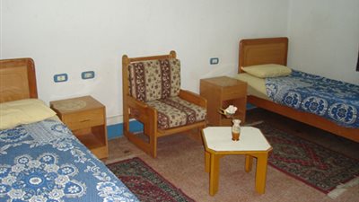 لا يقل أعضاؤها عن ١٠٠ شخص.. 4 شروط لإشهار الهيئات الشبابية 