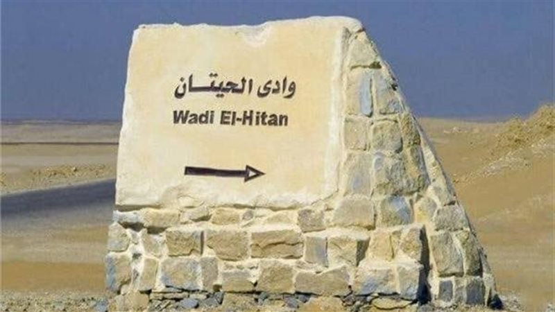 وادي الحيتان بالفيوم