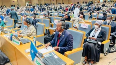 مجلس الأمن الدولي يمدد حظر الأسلحة المفروض على الصومال