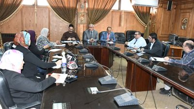 رئيس جامعة القناة: تشكيل اللجنة العليا لانتخابات اتحاد طلاب جامعة الإسماعيلية الجديدة الأهلية