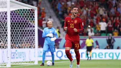 إسبانيا يتصدر جدول ترتيب المجموعة الخامسة في كأس العالم 2022