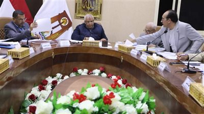 محافظ الوادي الجديد: تملك الأرض حال سداد المديونية