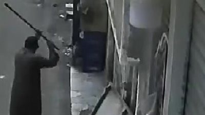 فيديو يوثق الاعتداء على كلب.. وخبير يوضح العقوبة المتوقعة 