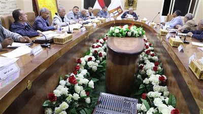 محافظ الوادي الجديد يترأس مجلسي إدارة 