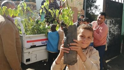 بمشاركة الأطفال.. زراعة 1000 شجرة بالحامول وقلين ودسوق في كفر الشيخ | صور