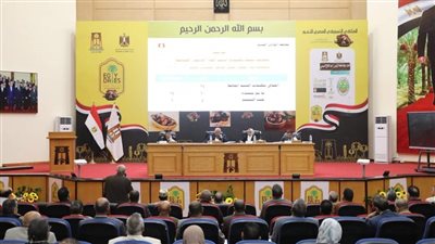 محافظ الوادي الجديد يترأس اجتماع المجلس التنفيذي