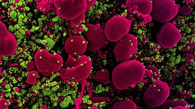 احذر.. هذه أدوات فى منزلك تصيبك بمتحور كورونا 