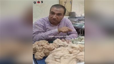 بث مباشر.. أول قطن مصري ملون.. البحوث الزراعية يتوصل لإنتاج أقطان ملونة بأعلى جودة في العالم