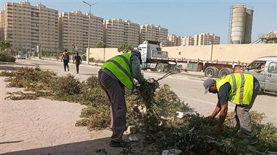 رفع 15 ألف طن قمامة من الشوارع بالإسكندرية