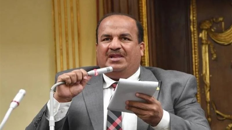 الدكتور محمد عبد