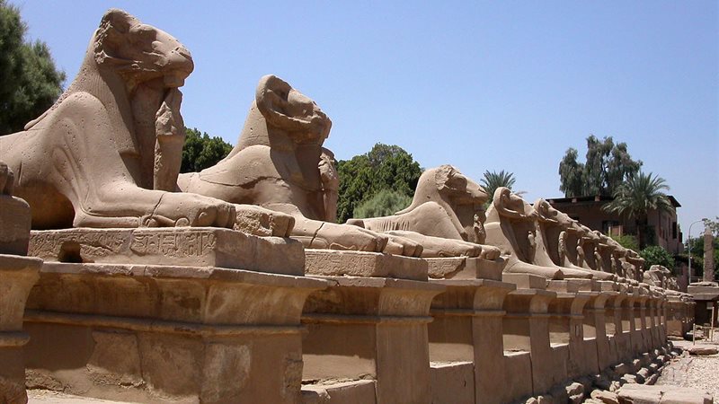 طريق الكباش