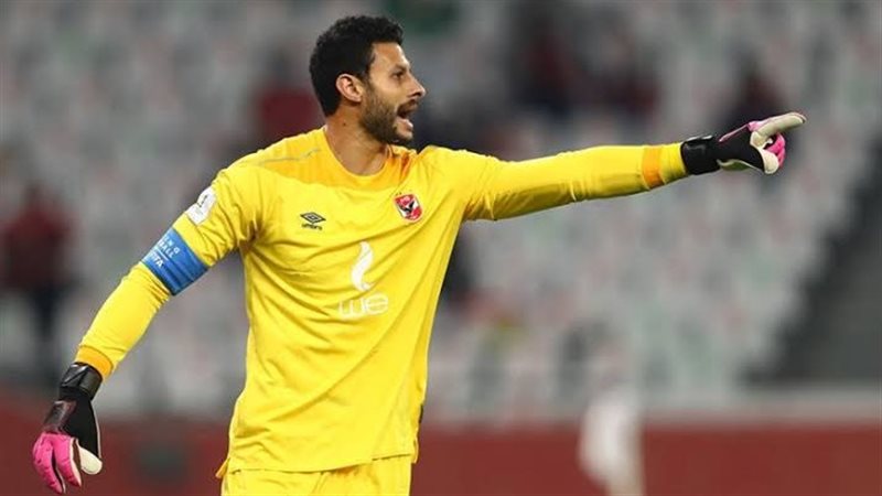 محمد الشناوي