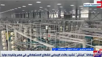 أستاذ تمويل يكشف.. لماذا أشادت وكالة فيتش بالقطاع الاستهلاكي في مصر؟|فيديو 