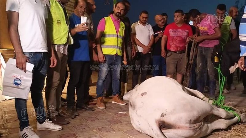 هدية مستقبل وطن بالغربية