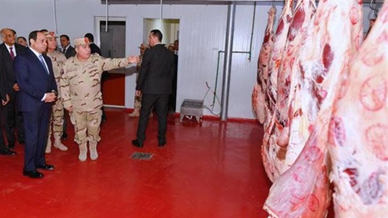 الرئيس عبد الفتاح