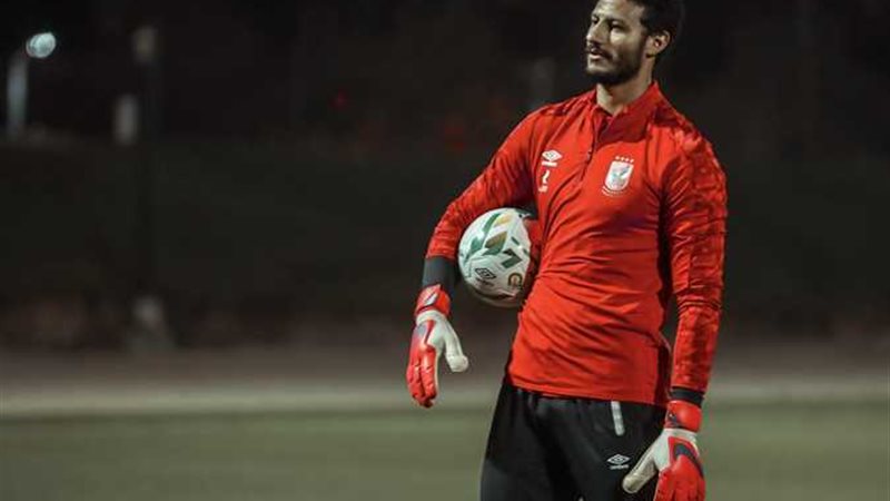 محمد الشناوي 