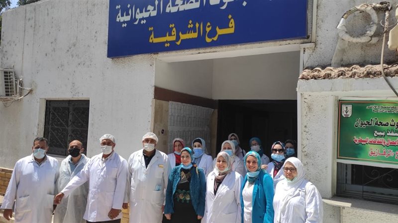 الصحة الحيوانية