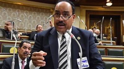 برلماني يطالب الحكومة بتنفيذ التكليفات الرئاسية لتشجيع القطاع الخاص