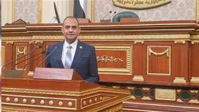 برلماني يكشف أبرز الملفات على طاولة القمة الثلاثية المصرية الأردنية الفلسطينية