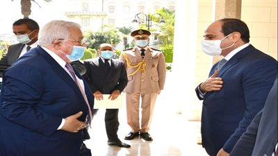 السيسي يستعرض رؤية مصر لكيفية إحياء عملية السلام وتثبيت التهدئة وإعادة إعمار غزة