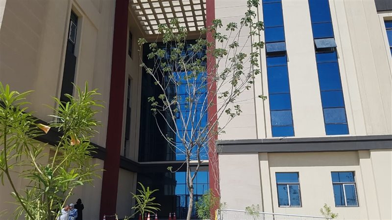 جامعة المنصورة الجديدة