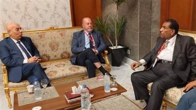 الاتحاد الدولي للكاراتيه يرغب في تنظيم مصر لبطولة العالم