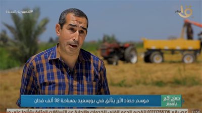 موسم حصاد الأرز في بورسعيد بمساحة 32 ألف فدان|فيديو
