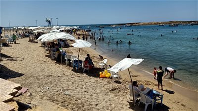 حالة الطقس في الإسكندرية غدا الأحد 5 - 9 -2021