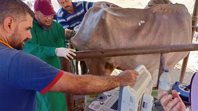 الزراعة تنظم قافلة بيطرية لعلاج مواشي صغار المزارعين والمربين مجانا بمطروح 