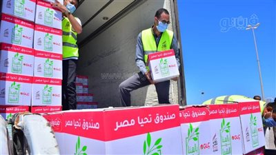 رئيس إسكان النواب: إشراف الرئيس على صندوق تحيا مصر رسالة دعم