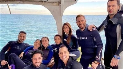 ماكو V.S الإنس والنمس.. حرب الإيرادات تشتعل بين الأفلام في شباك التذاكر.. و