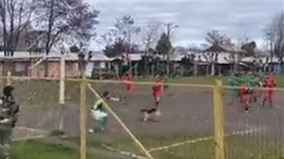 غرائب وطرائف.. كلب يقتحم ملعب كرة قدم ويسجل هدفا برأسه بدوري شهير | فيديو