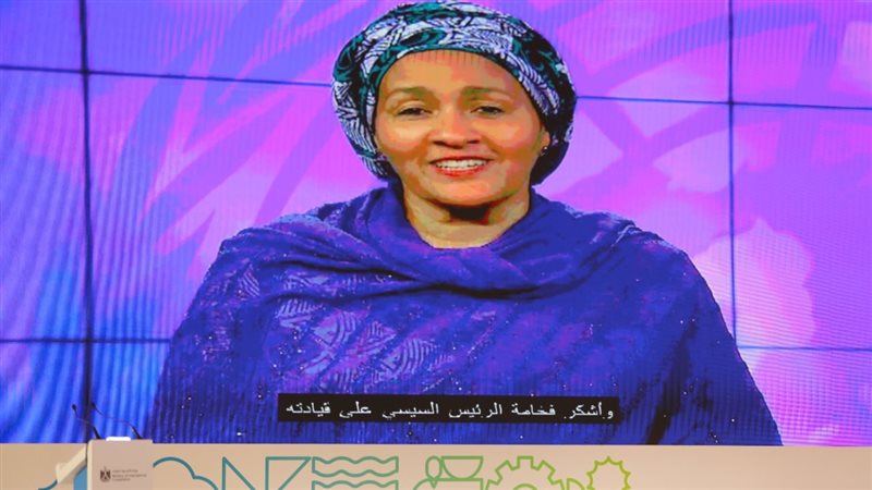 نائب الأمين العام