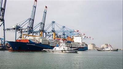 تداول 29 سفينة بضائع متنوعة داخل ميناء دمياط 