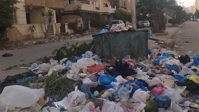 كشفها نباح كلاب.. العثور على جثة طفل بصندوق قمامة في المرج