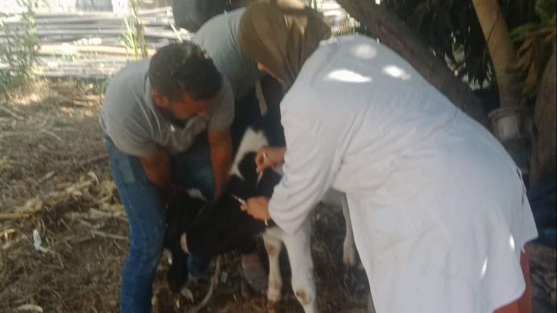 جانب من جهود بيطريات