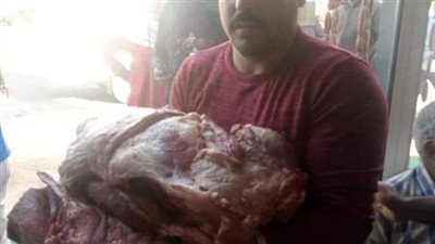 ضبط 77 كيلو لحوم غير صالحة والتحفظ على 1200 كيلو سكر بدون فاتورة في الجيزة